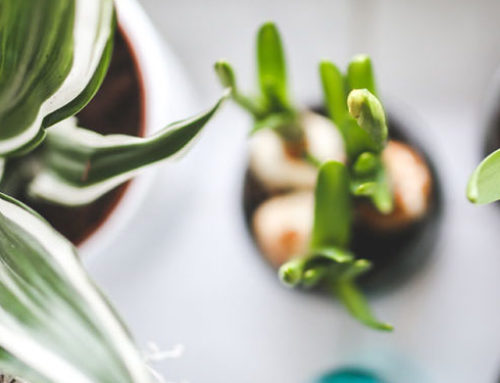 Our Website Has Been Renewed